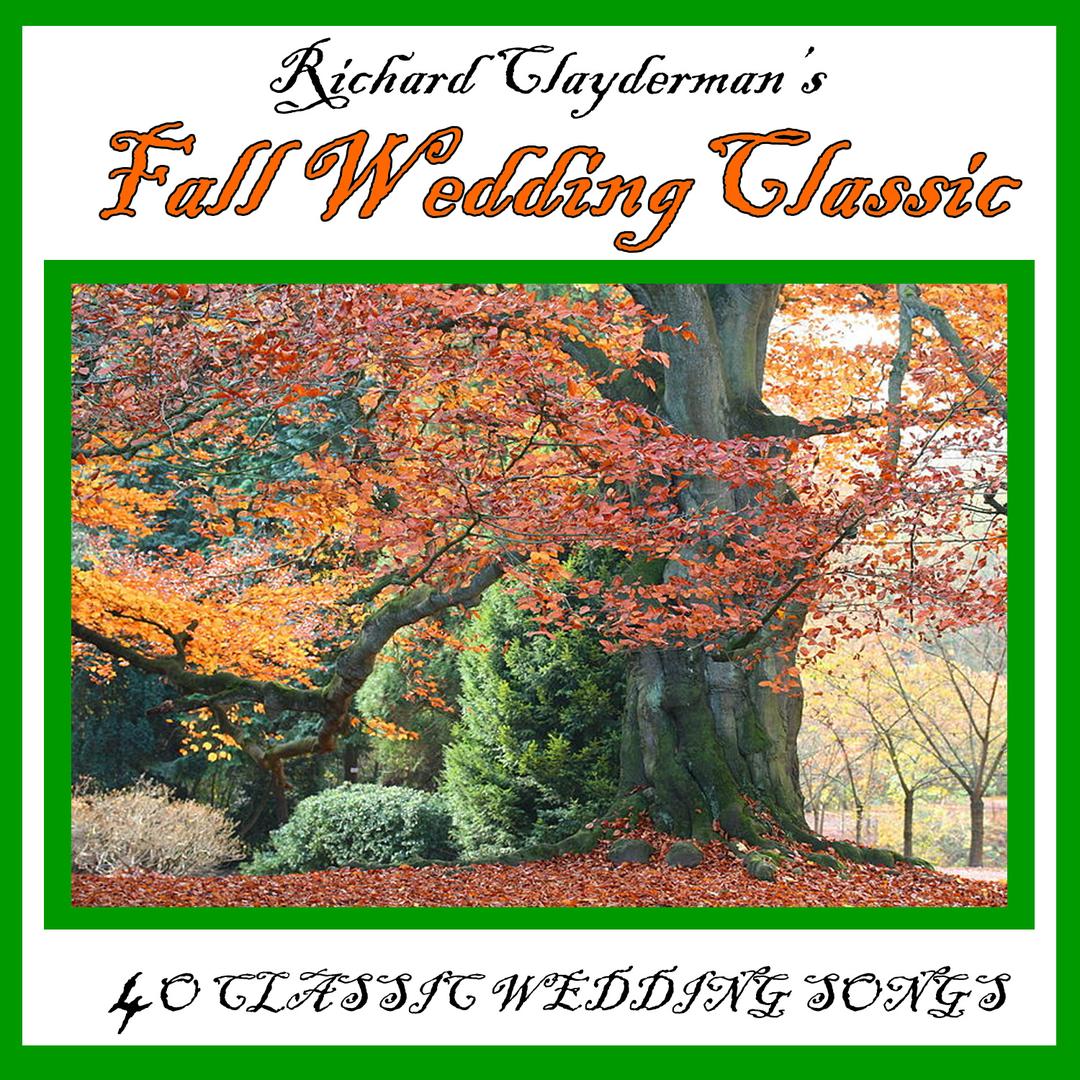 Extremely Elegant Wedding Reception Instrumental Songs By Tie The
