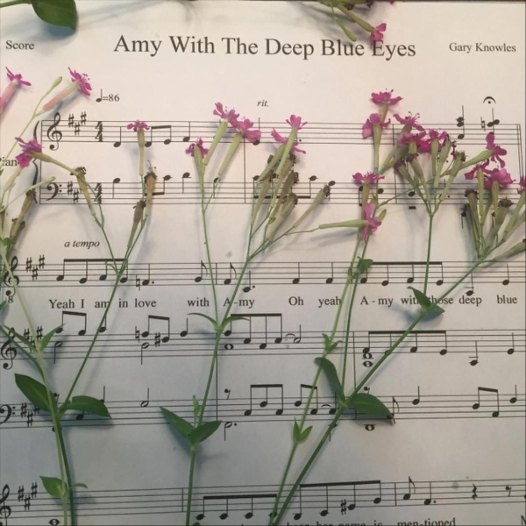 Wallpaper Deep Blue Eyes Song Open Your Eyes Deep Blue Songspell Teaser 3 For Free